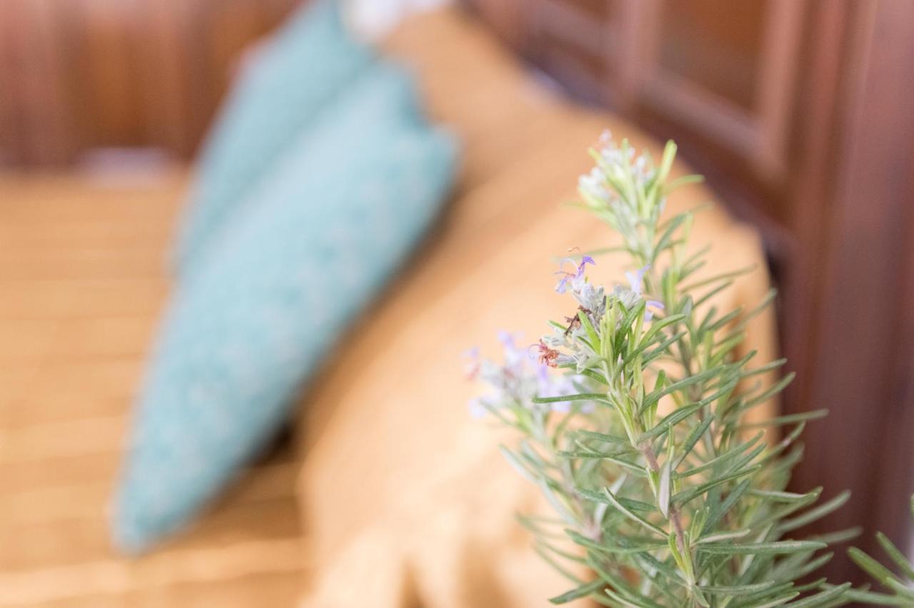 Boutique House Lujopobre Bed & Breakfast Montilla Exterior photo